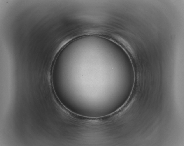 X0000111611465200907240959