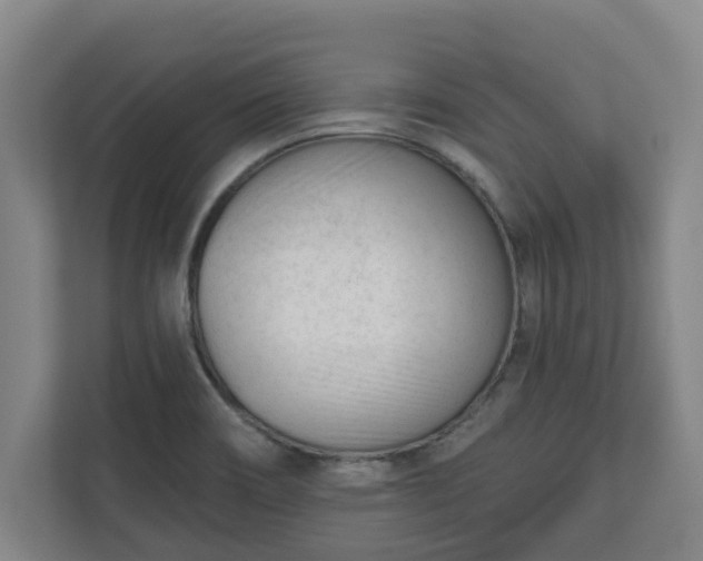 X0000111611466200907240959