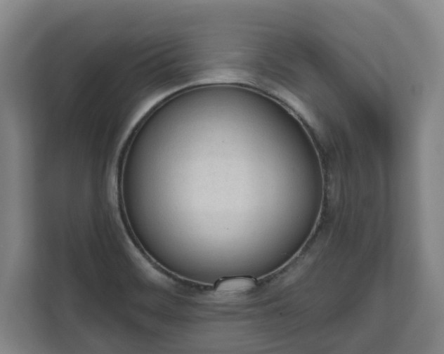 X0000111611468200907240959