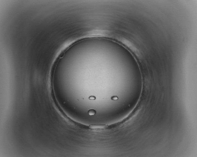 X0000111611469200907240959