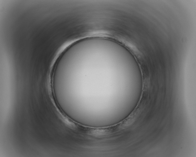 X0000111611470200907240959