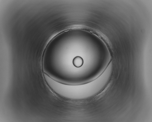 X0000111611473200907240959