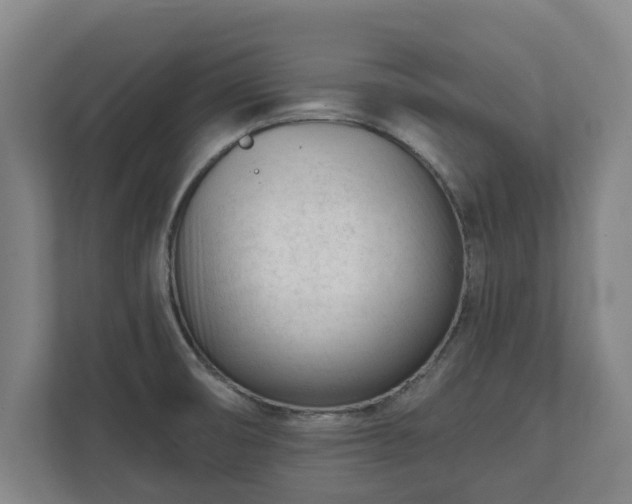 X0000111611474200907240959