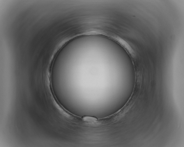 X0000111611476200907240959