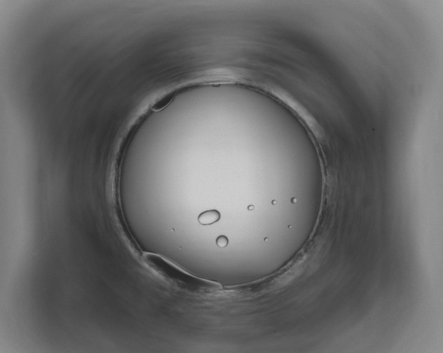 X0000111611477200907240959