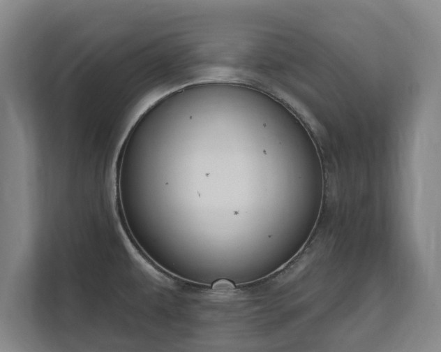 X0000111611479200907240959