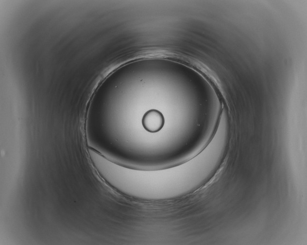 X0000111611481200907240959