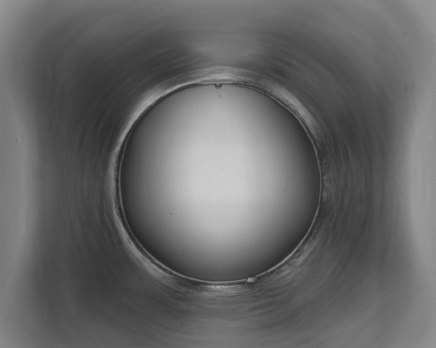 X0000111611483200907240959
