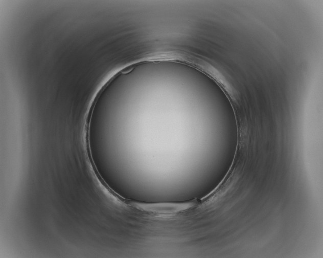 X0000111611484200907240959