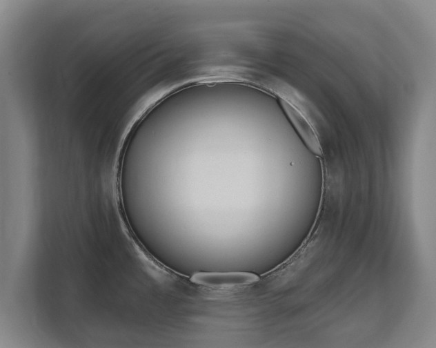 X0000111611485200907240959