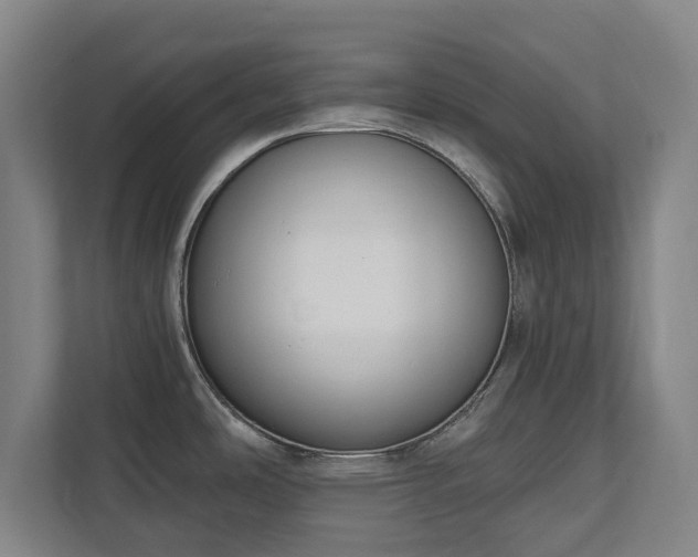 X0000111611486200907240959