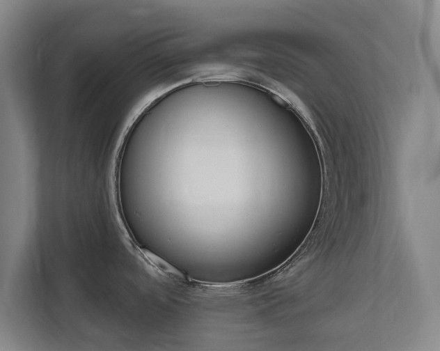 X0000111611488200907240959