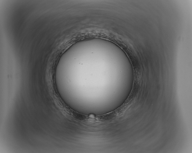 X0000111611489200907240959