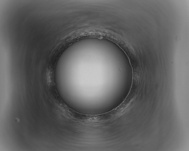X0000111611490200907240959