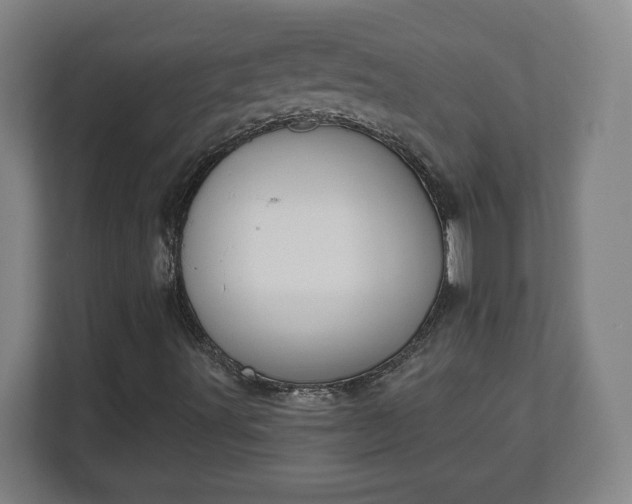 X0000111611491200907240959
