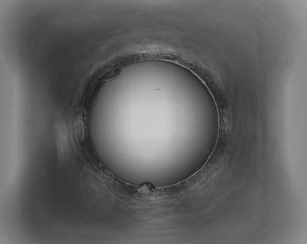 X0000111611493200907240959