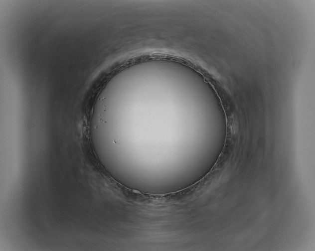 X0000111611495200907240959
