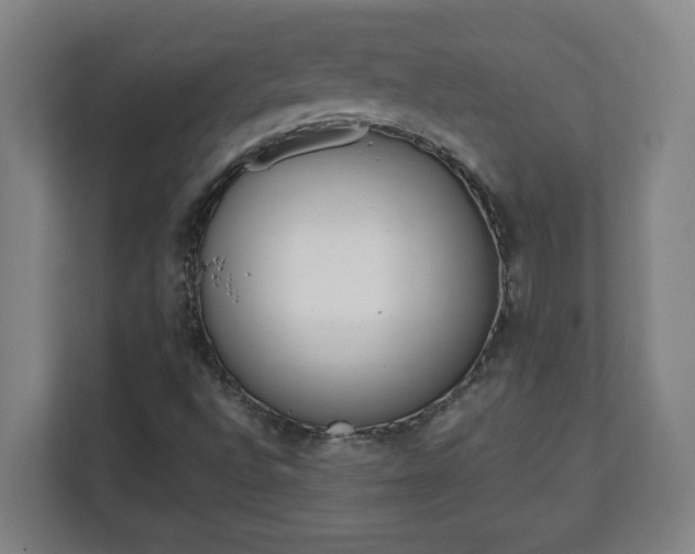X0000111611496200907240959