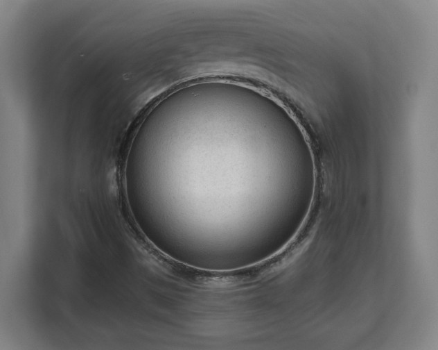 X0000111611497200907240959