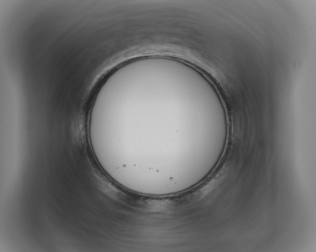 X0000111611498200907240959