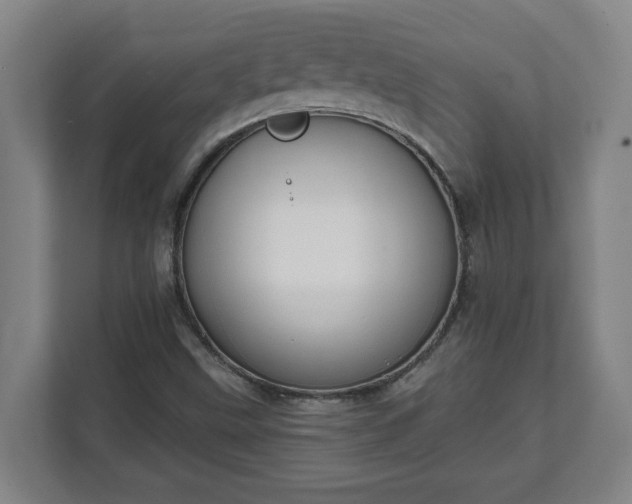 X0000111611499200907240959