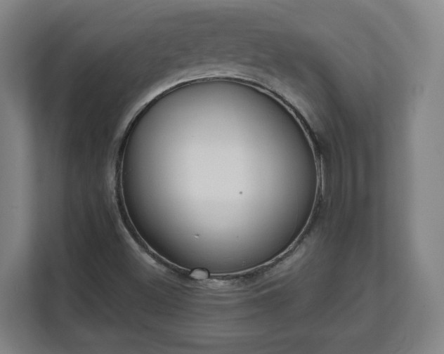 X0000111611500200907240959