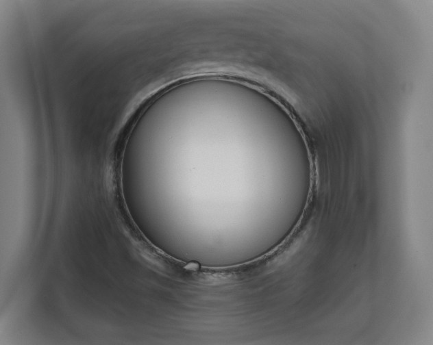 X0000111611501200907240959