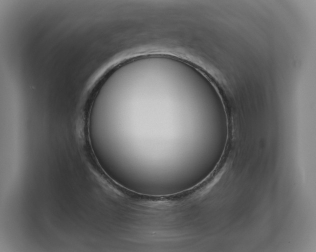 X0000111611502200907240959