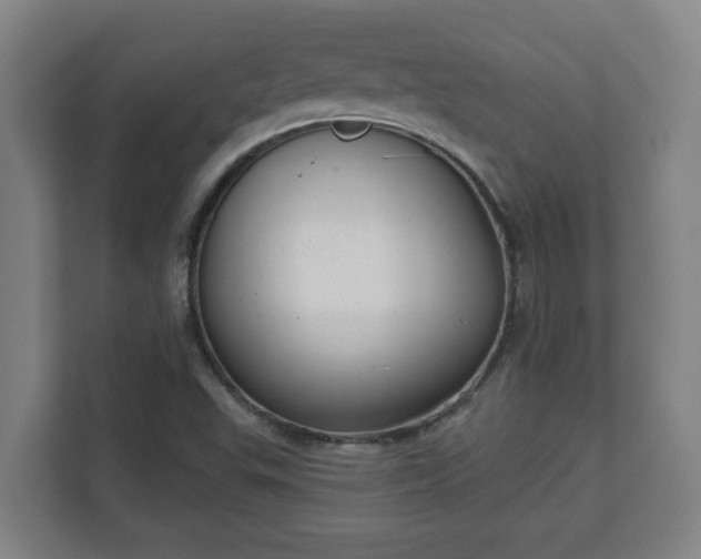 X0000111611503200907240959