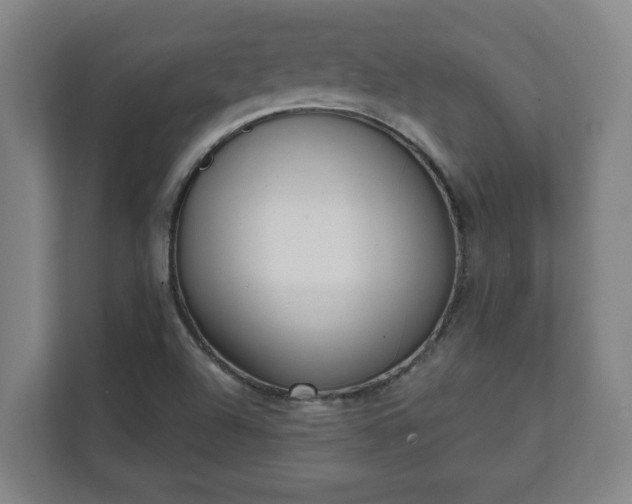 X0000111611504200907240959