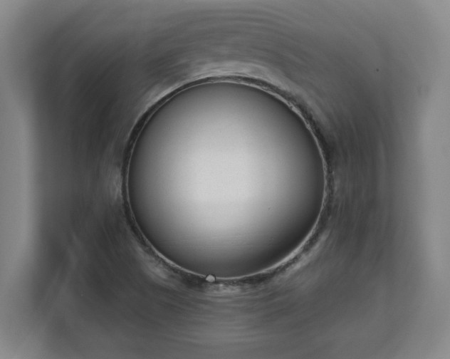 X0000111611505200907240959