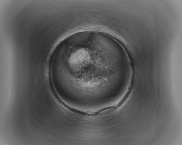 X0000111611506200907240959