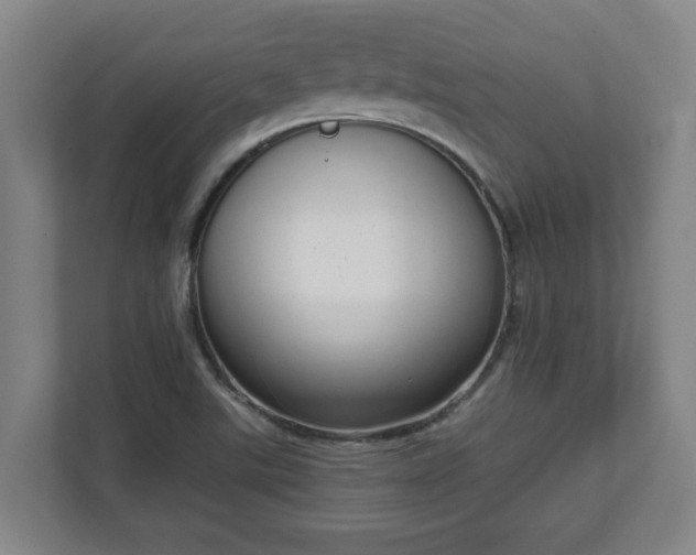 X0000111611507200907240959