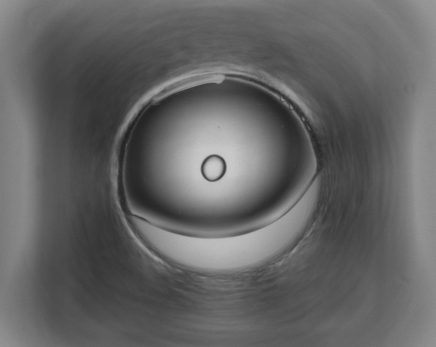 X0000111611508200907240959
