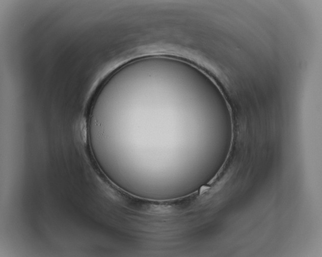 X0000111611509200907240959