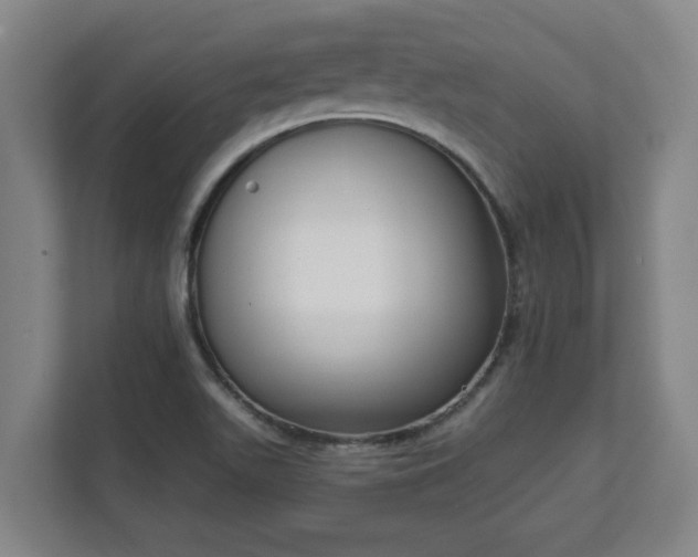 X0000111611511200907240959