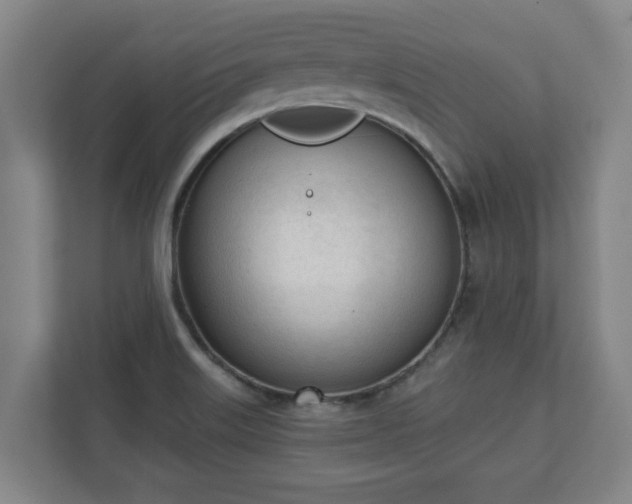X0000111611515200907240959