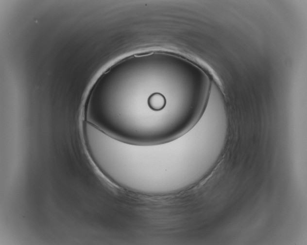 X0000111611516200907240959