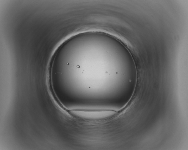 X0000111611518200907240959
