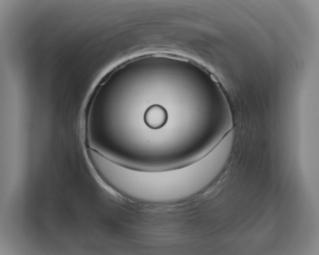X0000111611519200907240959