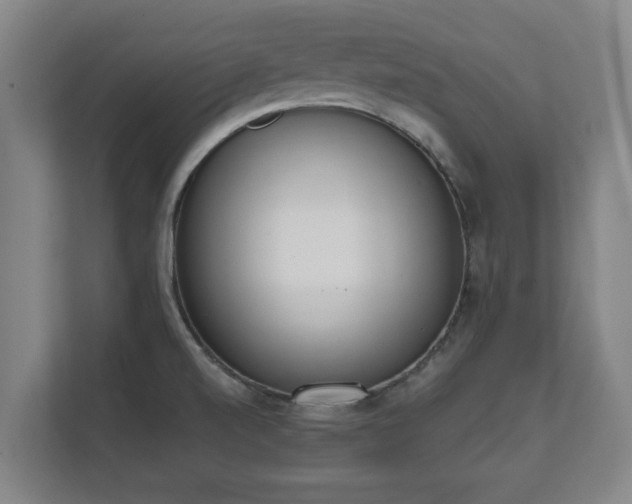 X0000111611520200907240959