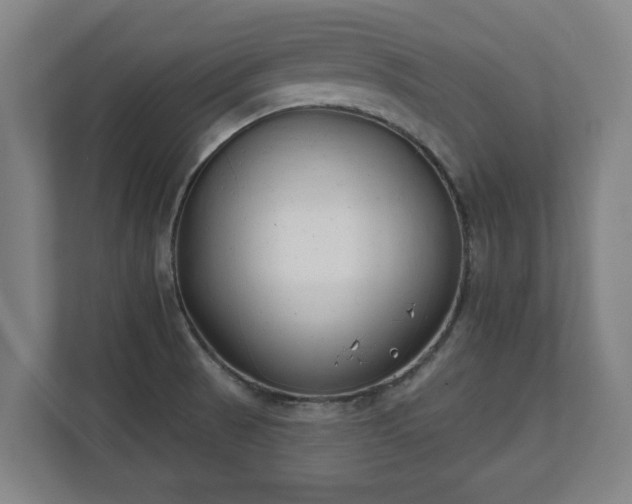 X0000111611521200907240959
