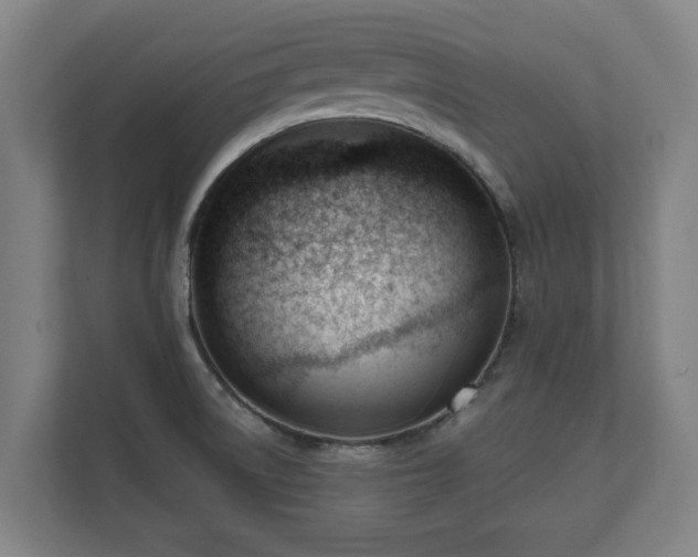 X0000111611522200907240959
