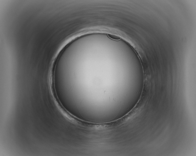 X0000111611523200907240959