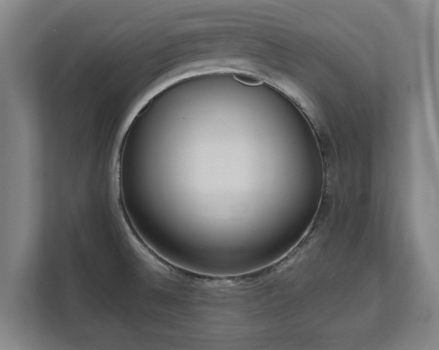 X0000111611524200907240959