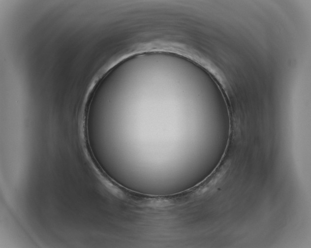 X0000111611525200907240959