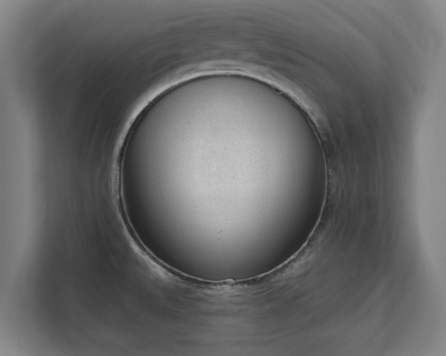 X0000111611527200907240959
