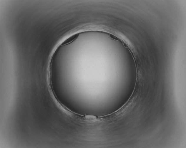 X0000111611528200907240959