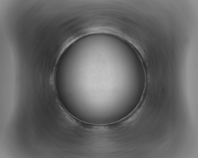 X0000111611529200907240959
