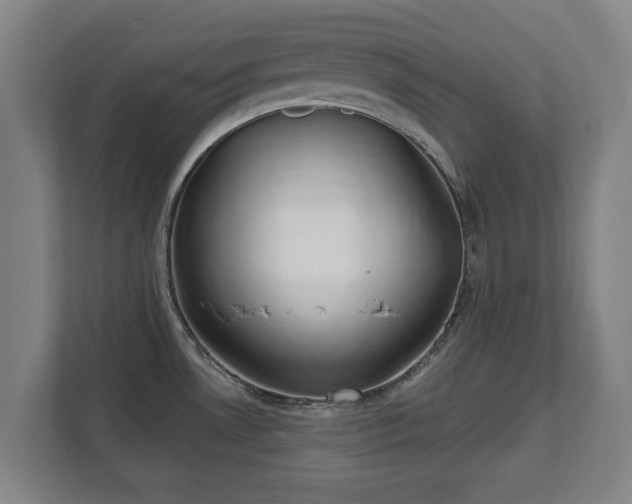 X0000111611530200907240959